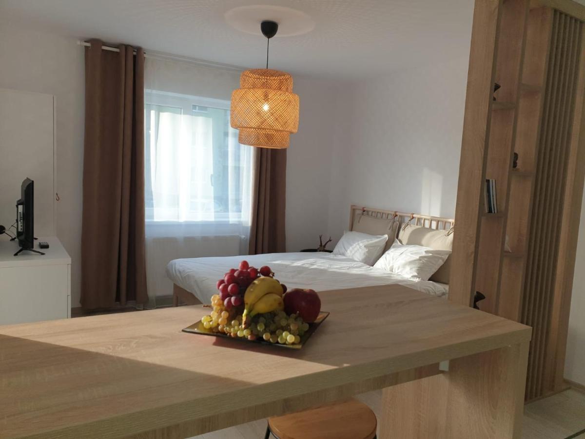 Suite Life Brasov Coresi Exteriér fotografie