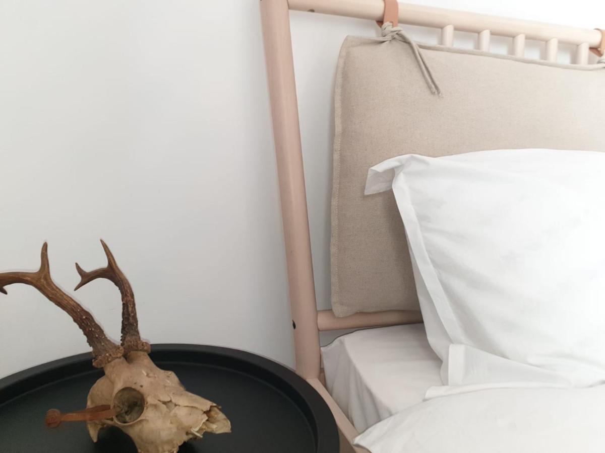 Suite Life Brasov Coresi Exteriér fotografie